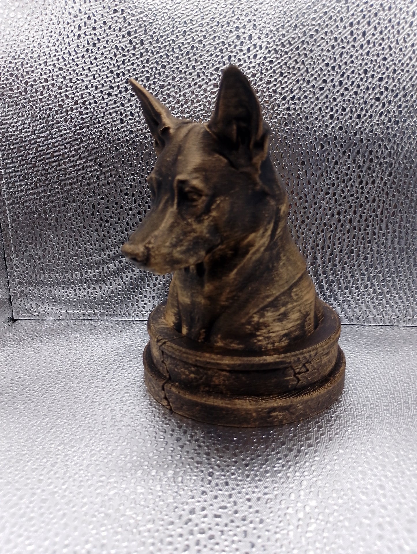 Canaan Dog Bust