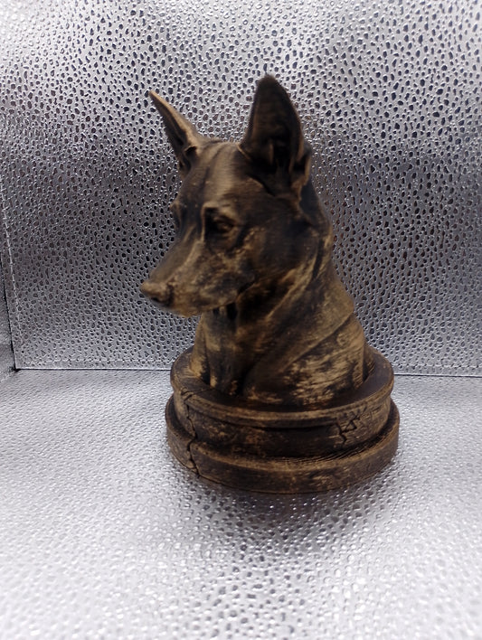 Canaan Dog Bust