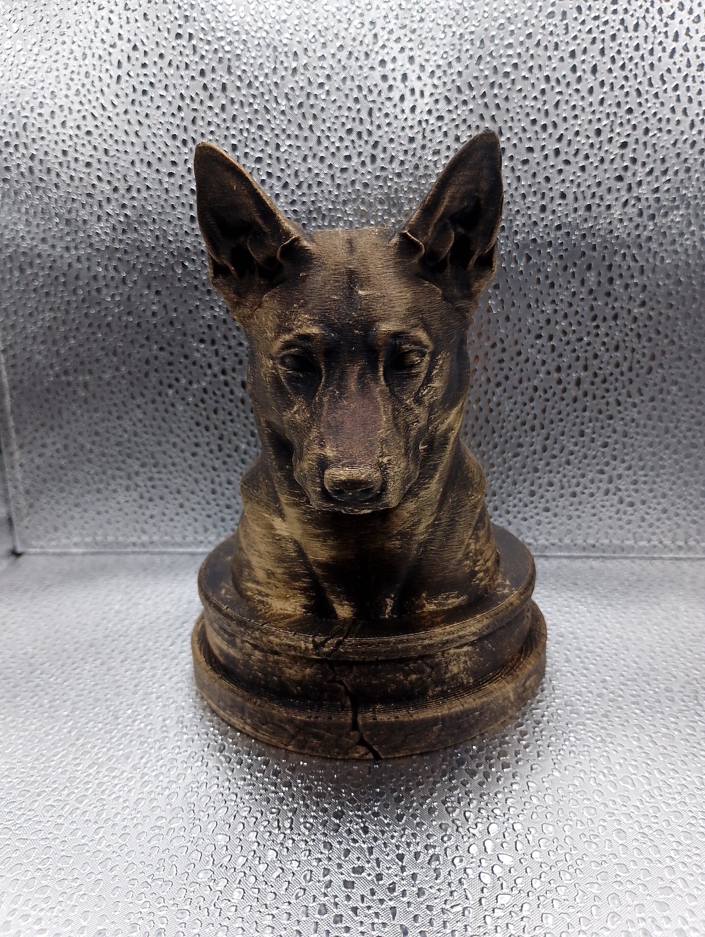Canaan Dog Bust