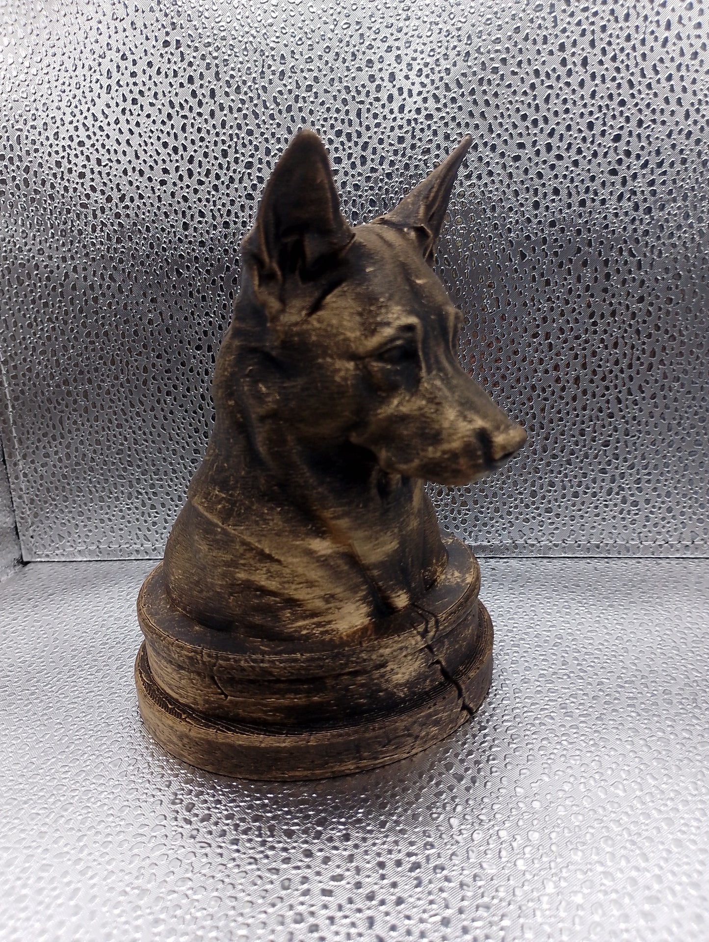Canaan Dog Bust