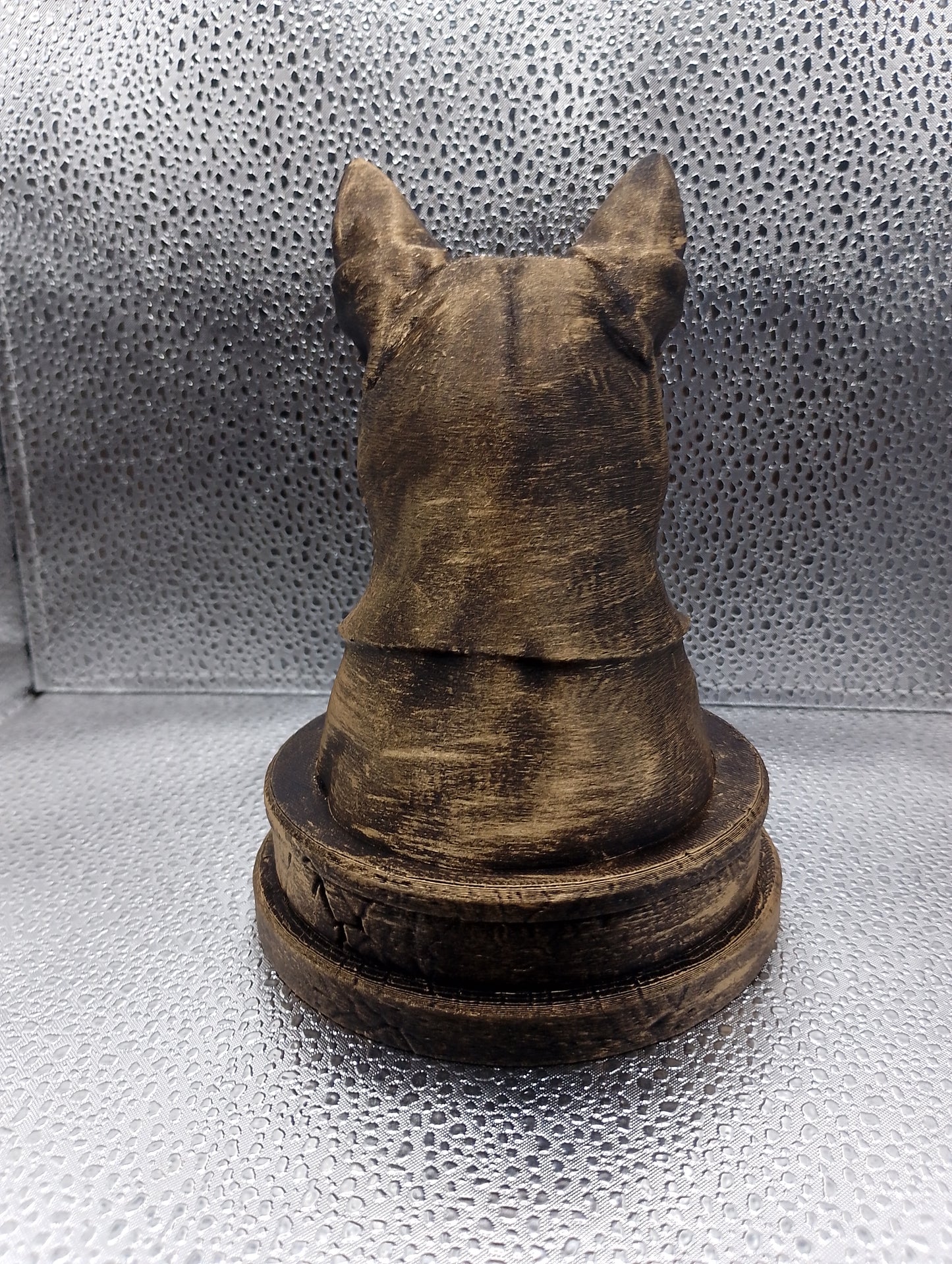 Canaan Dog Bust