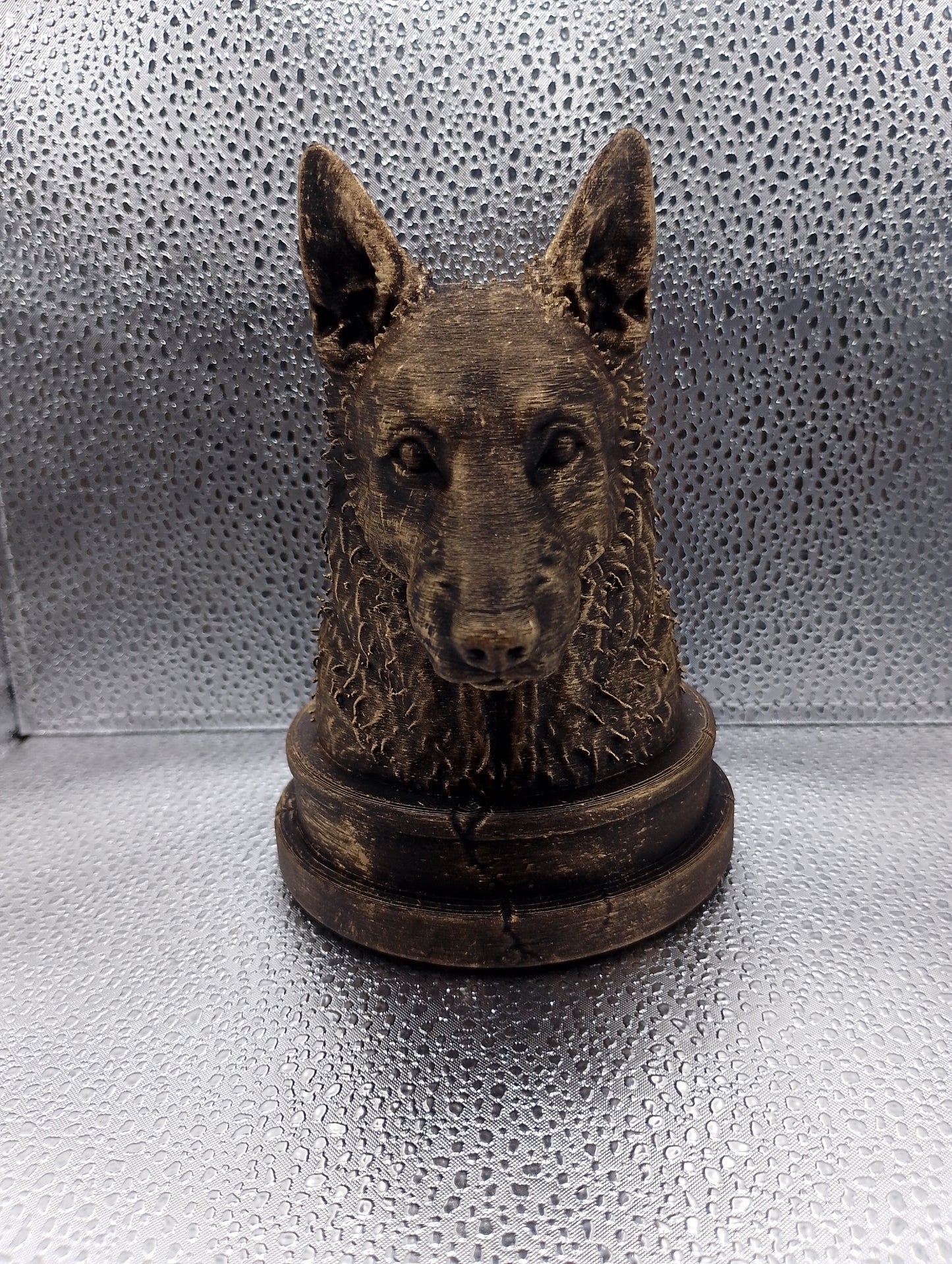 Belgian Laekenois Bust