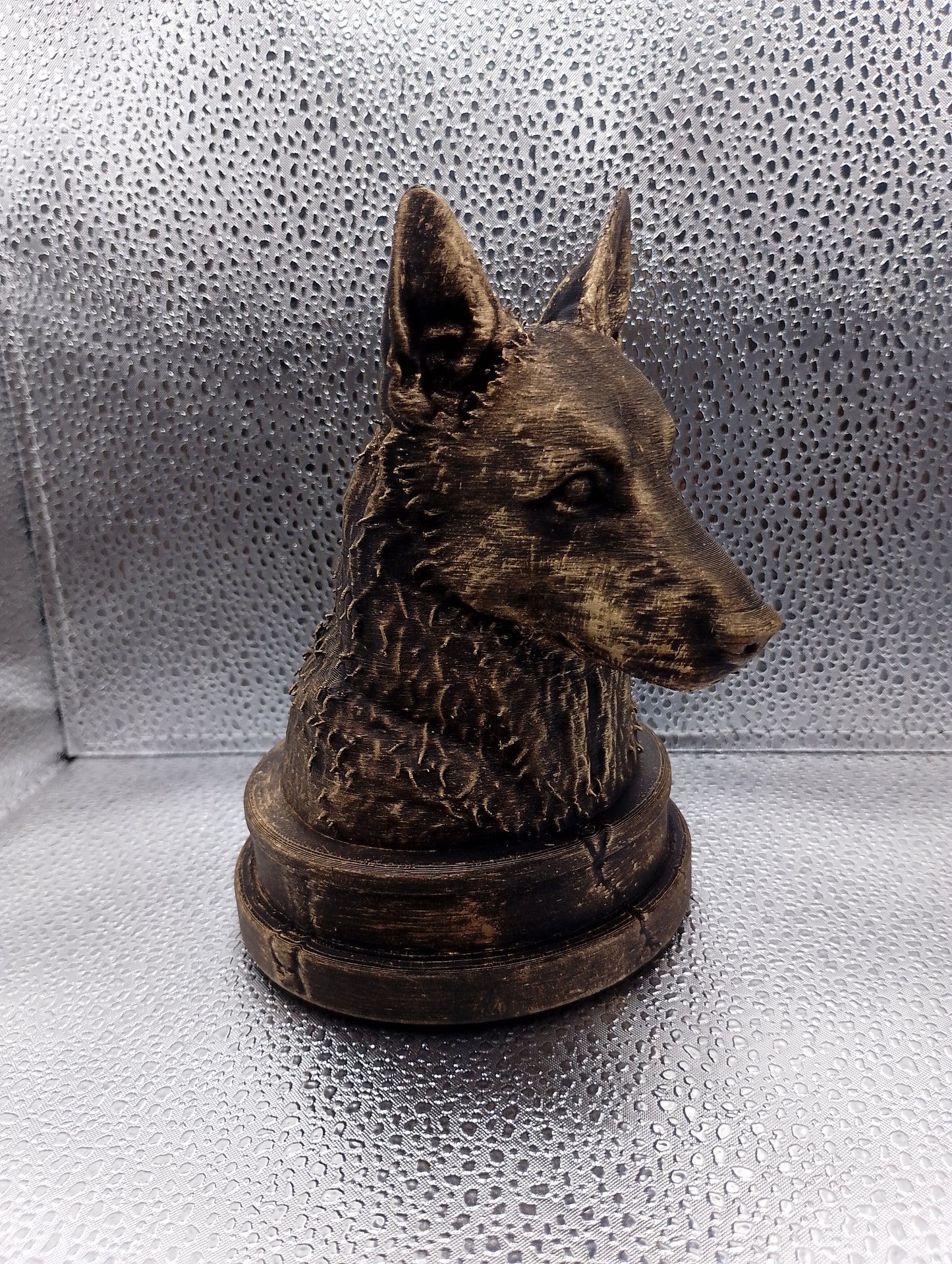Belgian Laekenois Bust