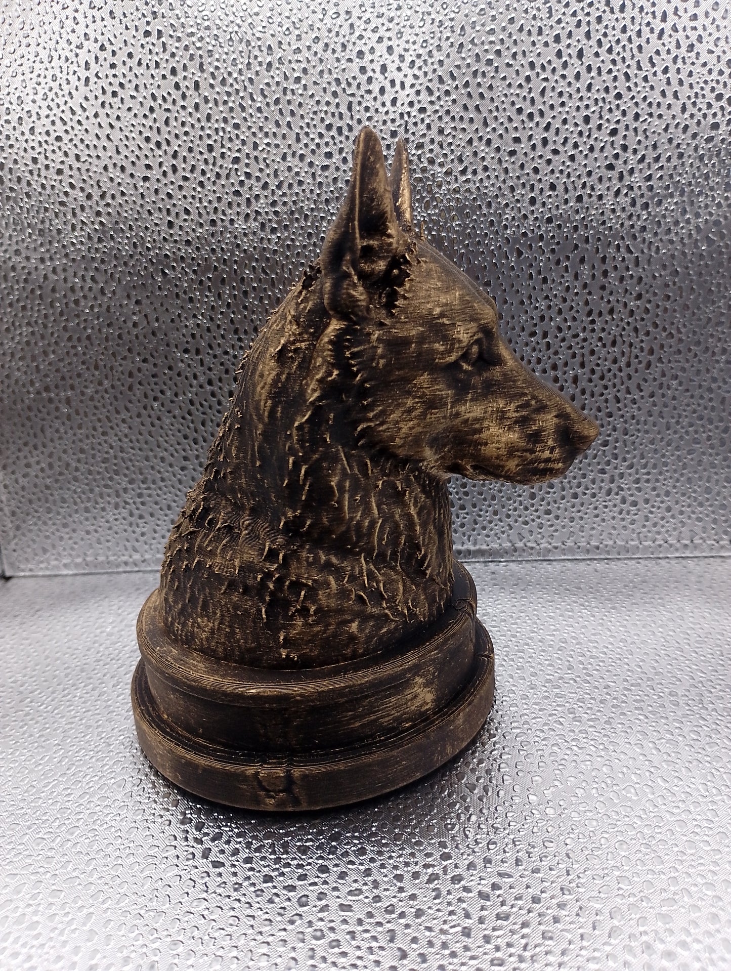 Belgian Laekenois Bust