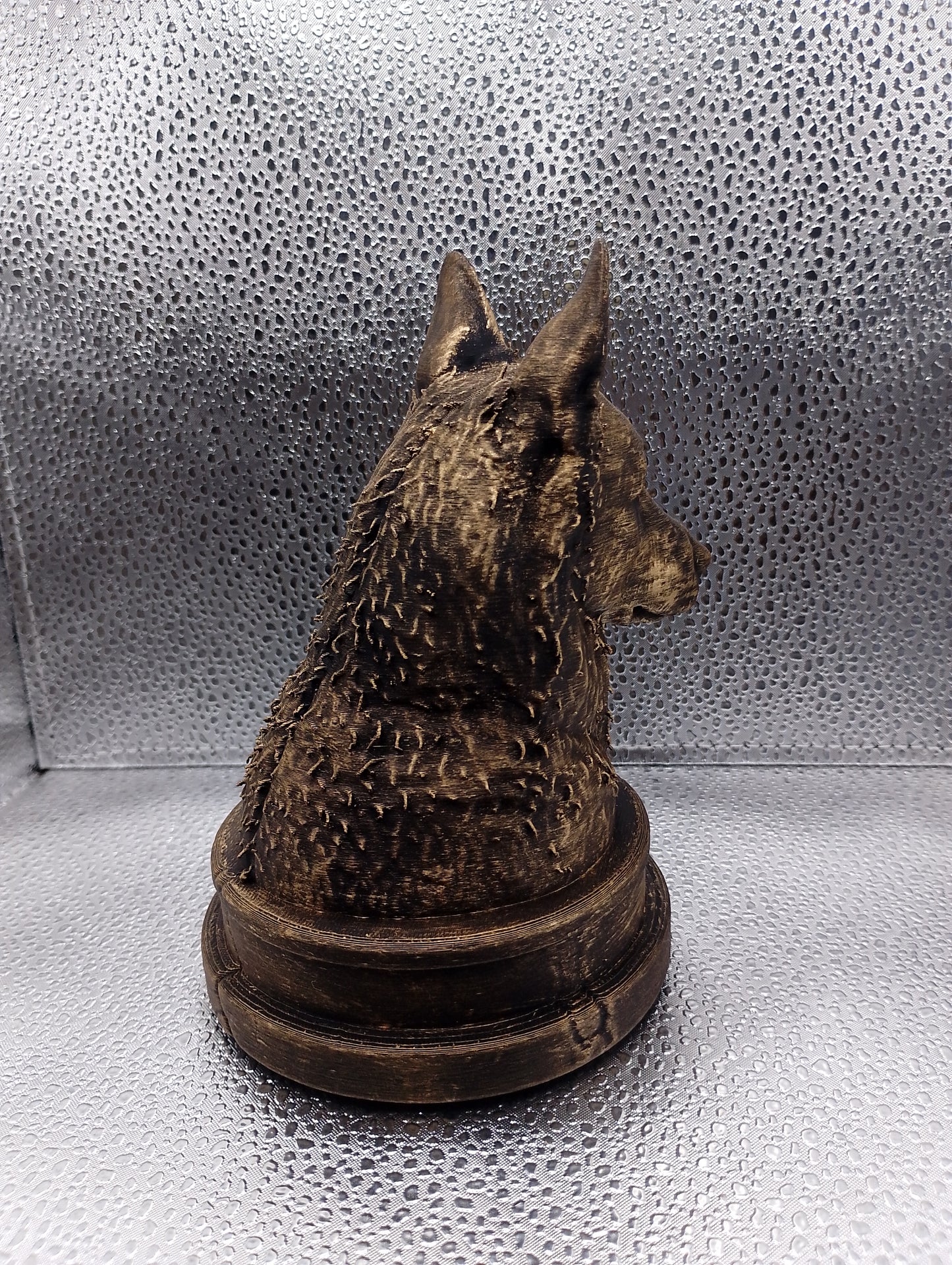 Belgian Laekenois Bust