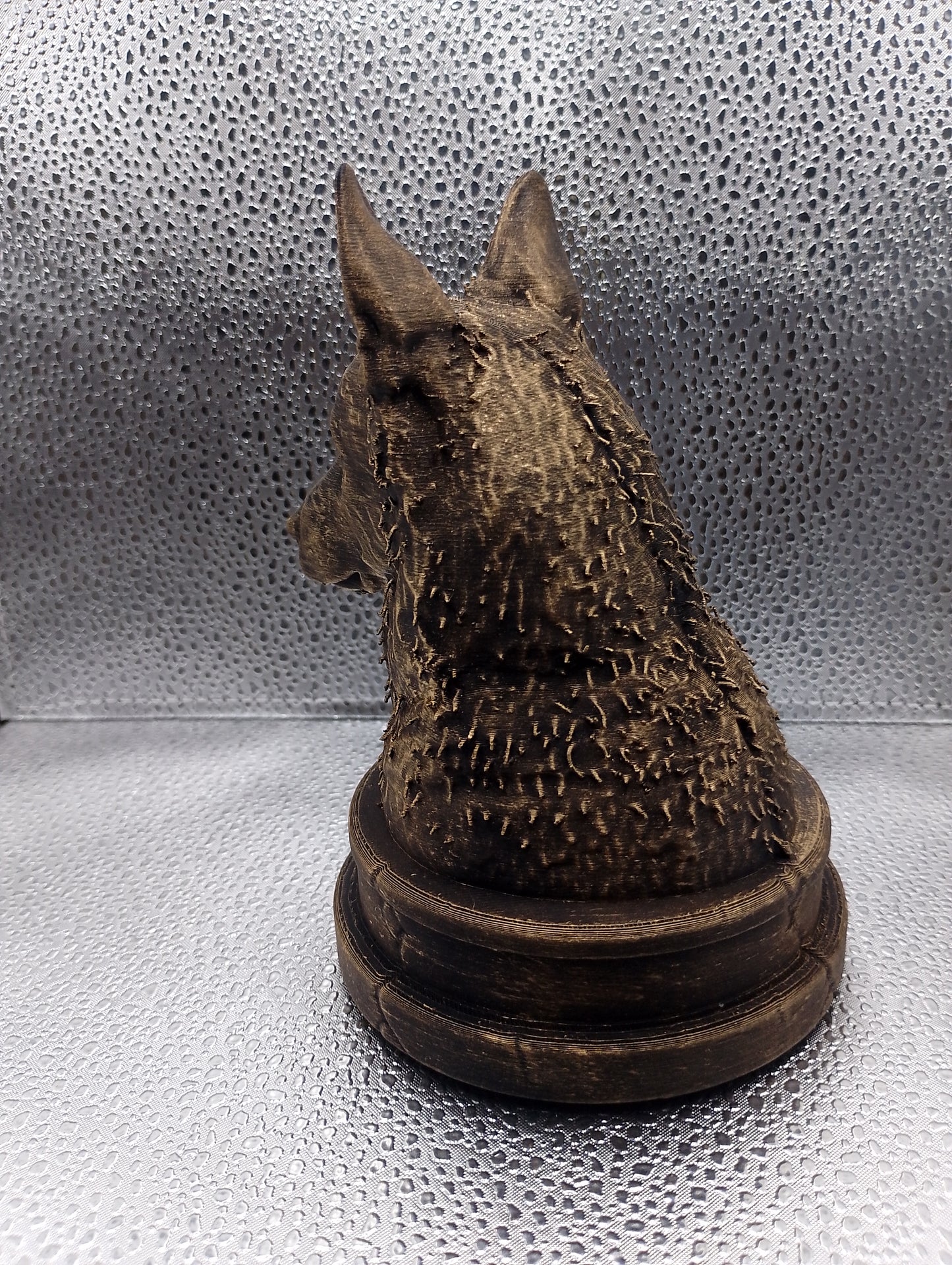 Belgian Laekenois Bust