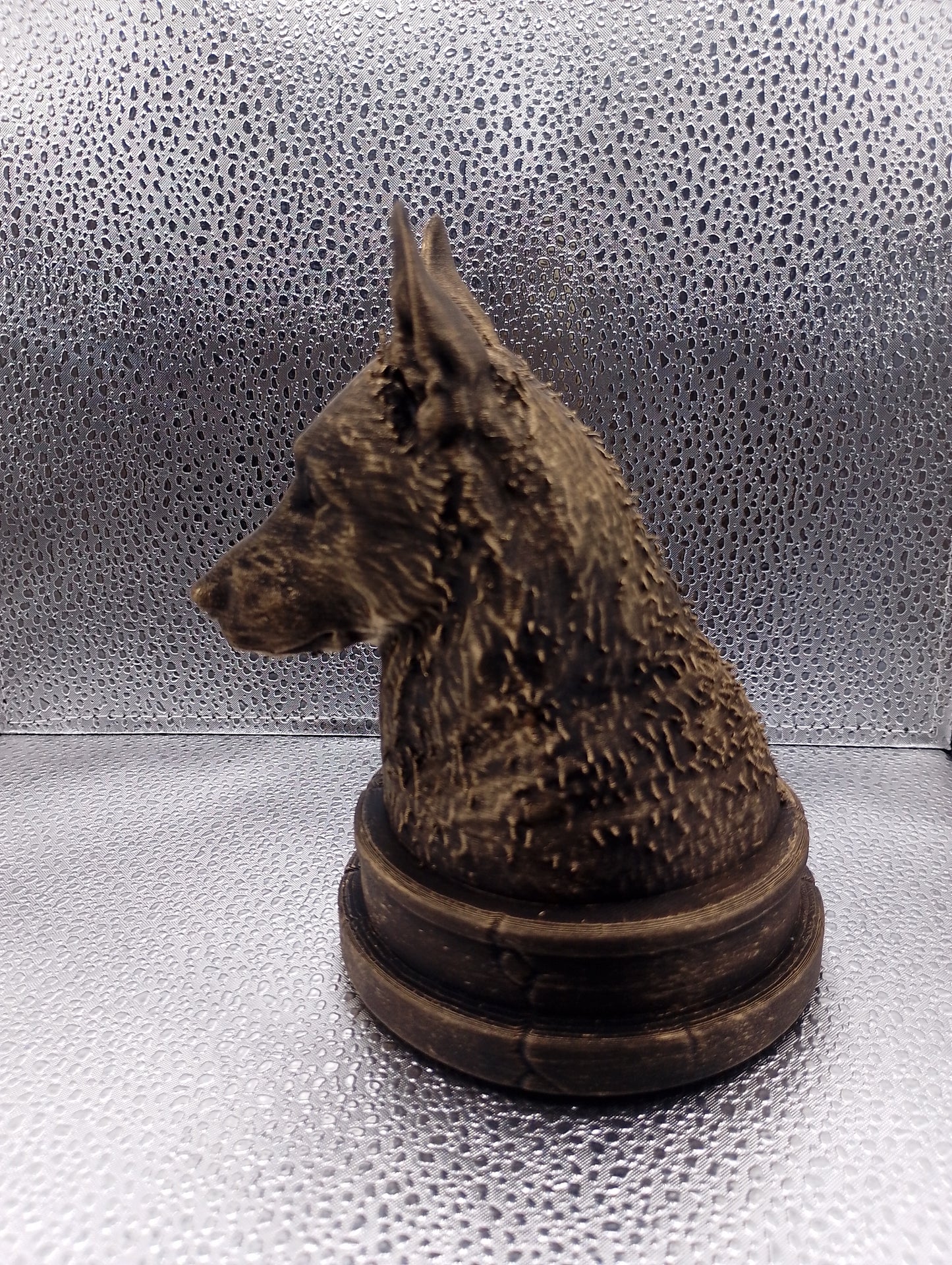 Belgian Laekenois Bust
