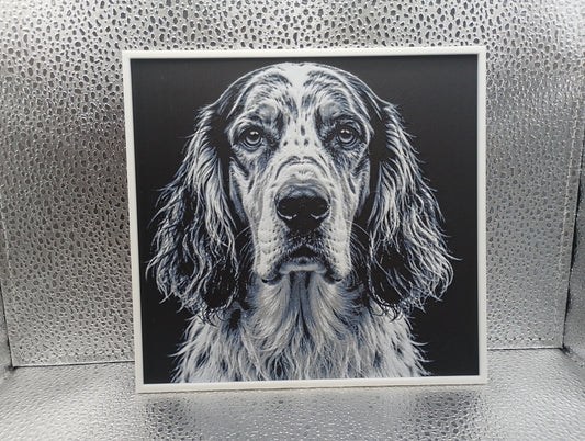 English Setter - Hueforge