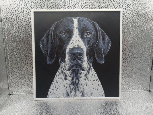 English Pointer - Hueforge