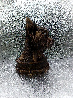 Chorkie Bust