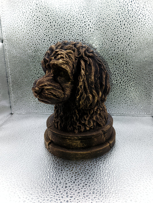 Cavoodle Bust