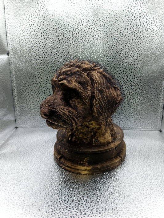 Schnoodle Bust