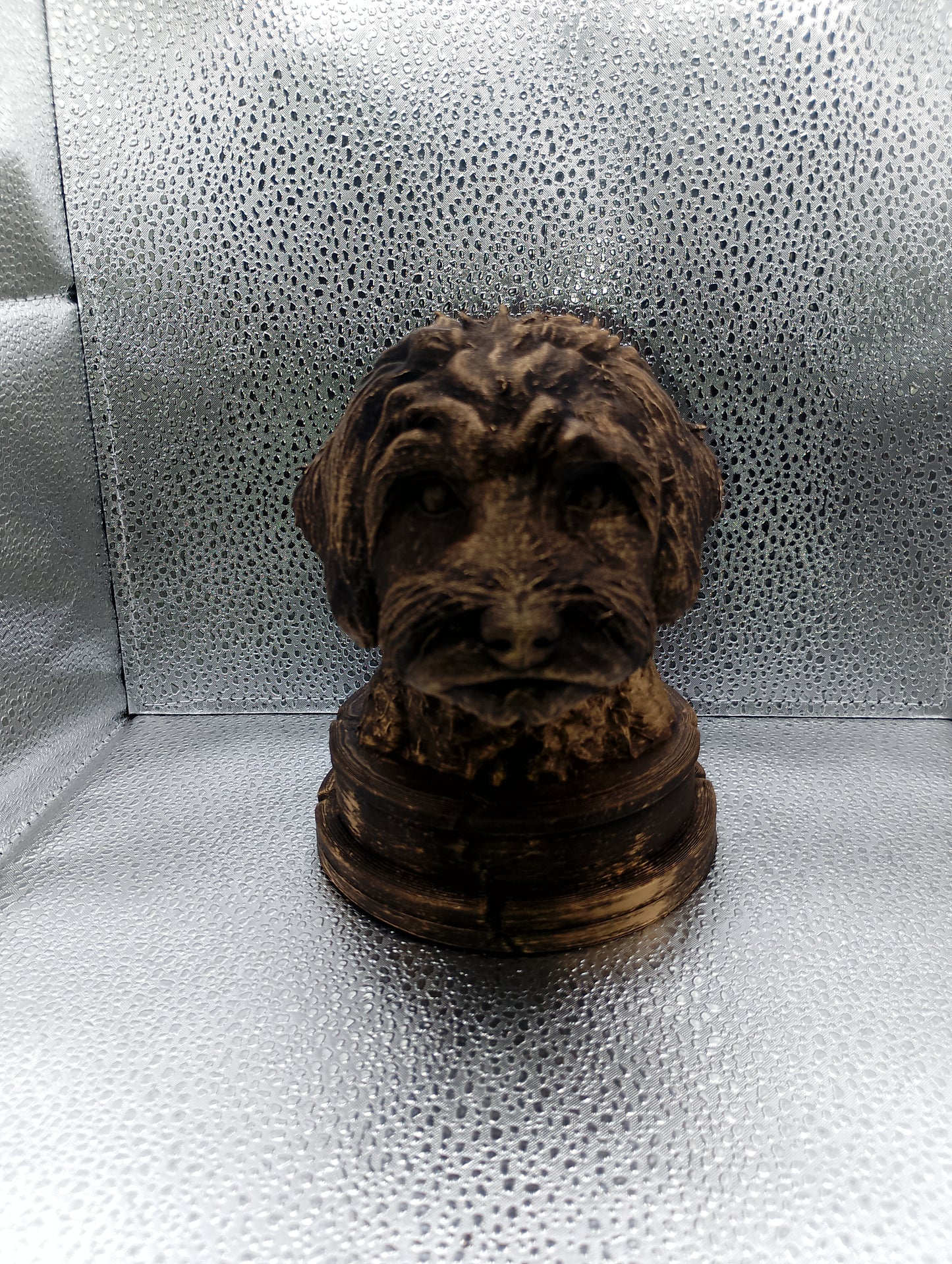 Schnoodle Bust