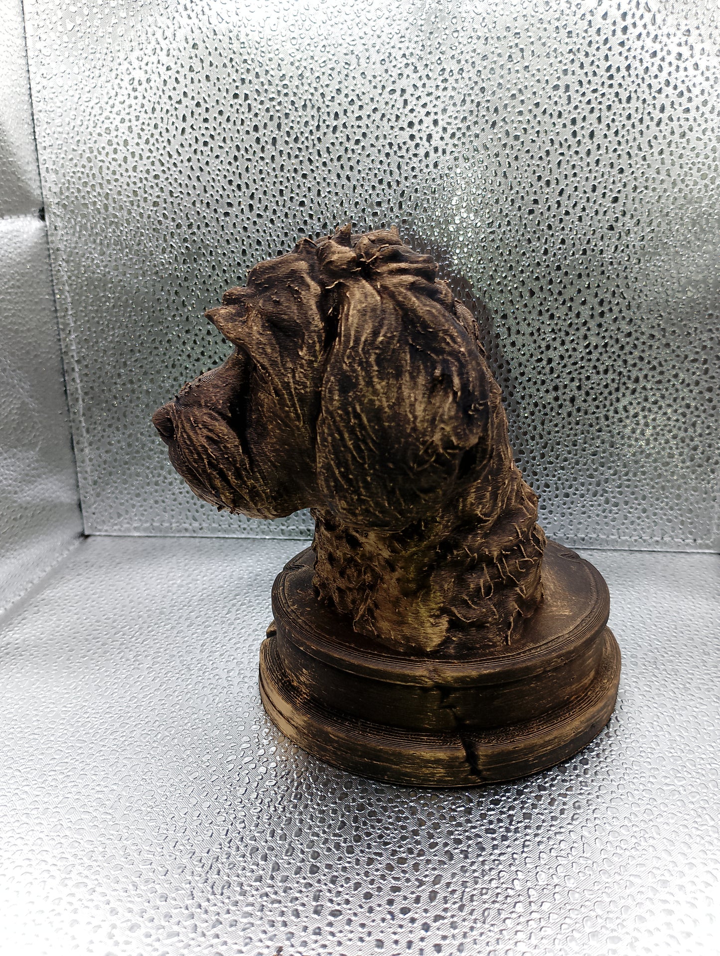 Schnoodle Bust