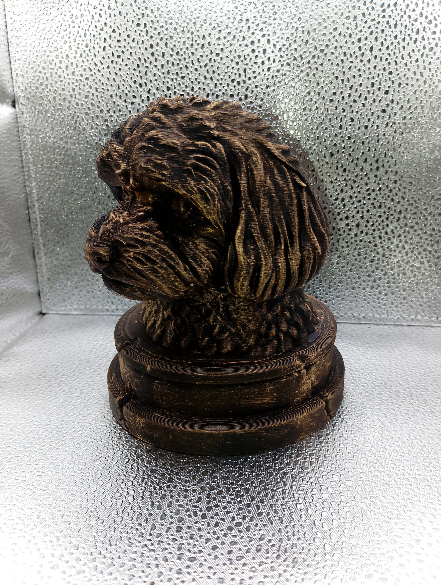 Maltipoo Bust