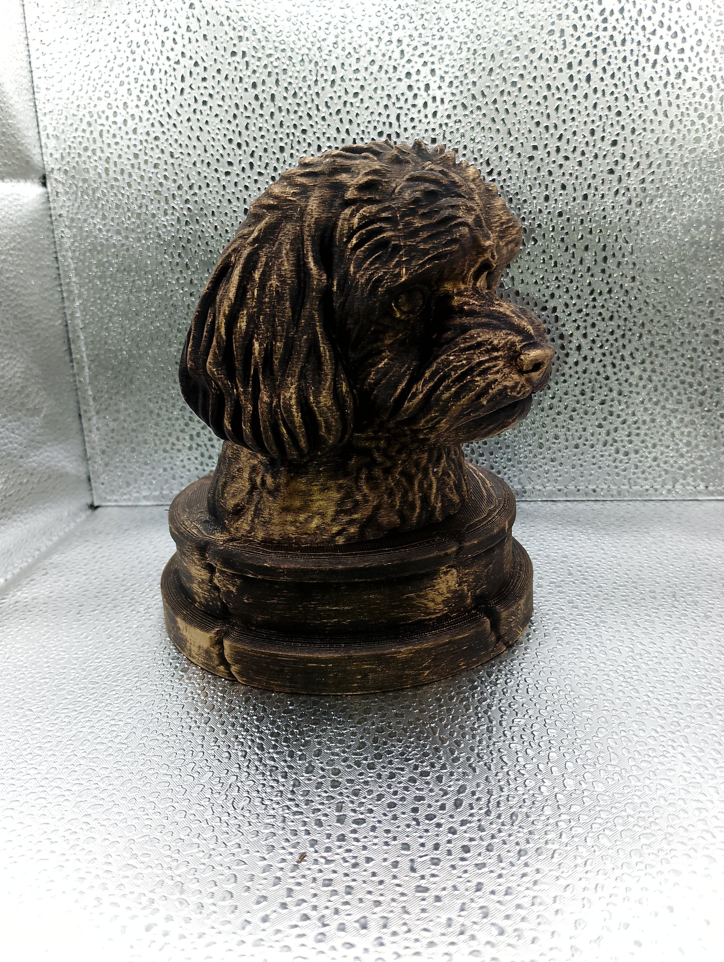 Maltipoo Bust