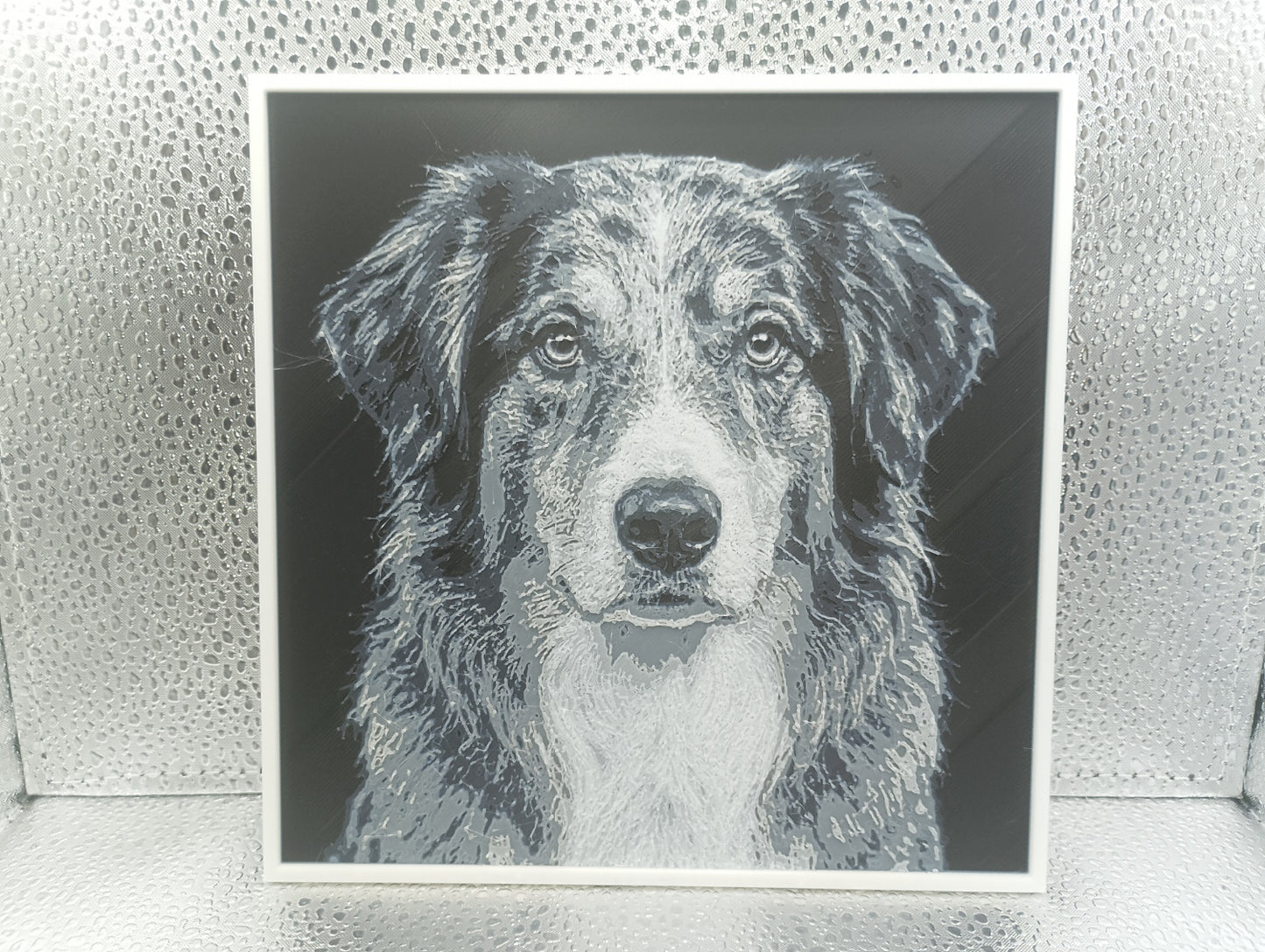 English Shepherd - Hueforge