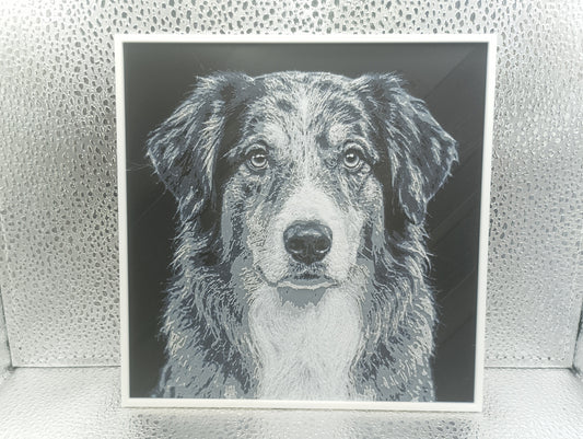 English Shepherd - Hueforge