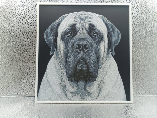 English Mastiff - Hueforge