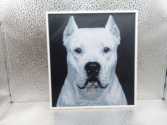 Dogo Argentino - Hueforge