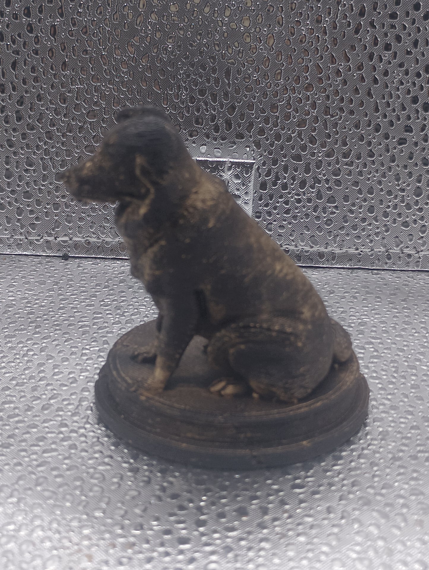Border Collie Dog Bust – 7cm Miniature Statue