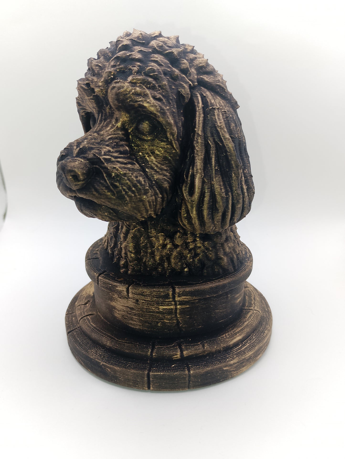 Cavapoo Bust