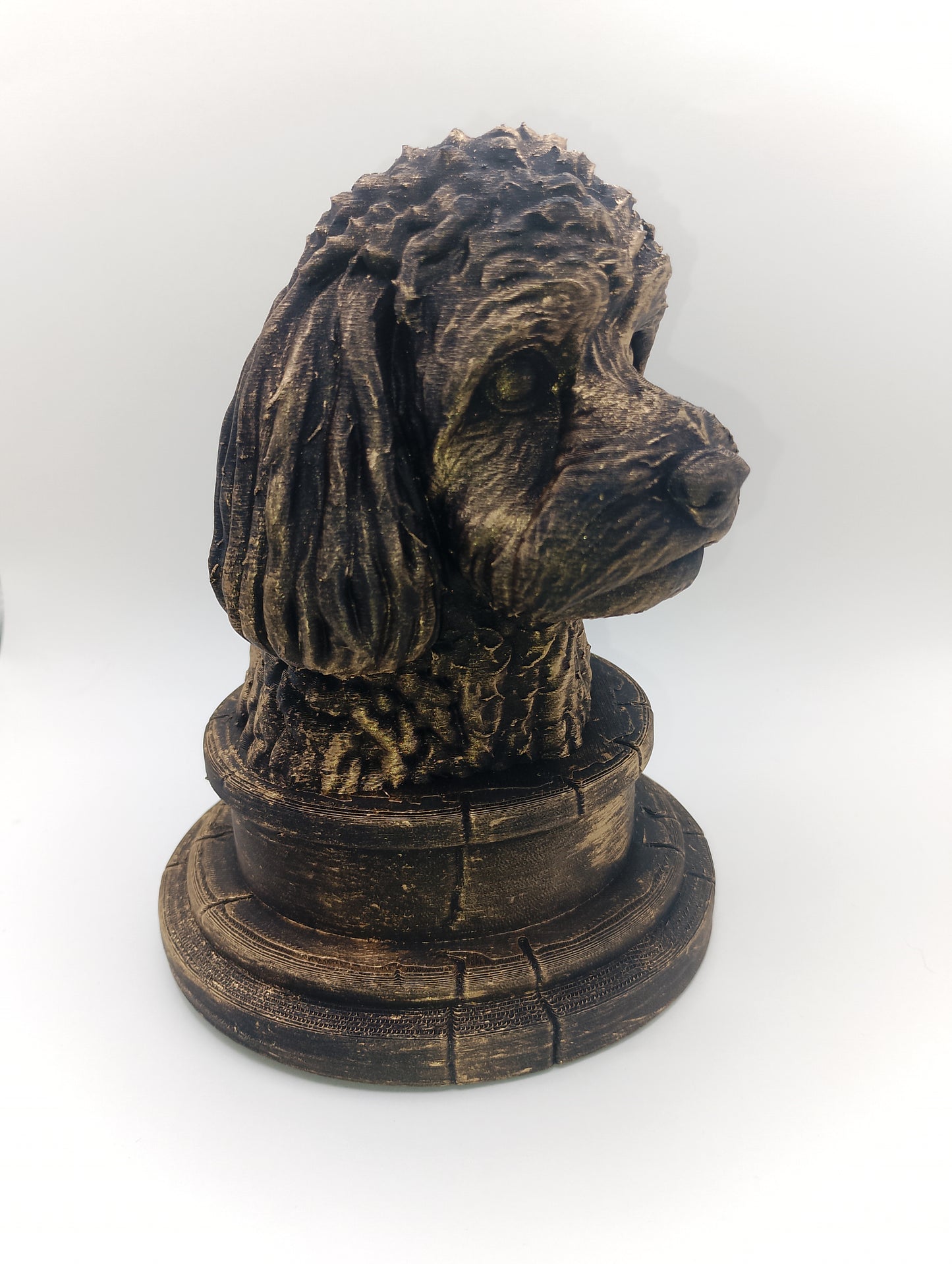 Cavapoo Bust