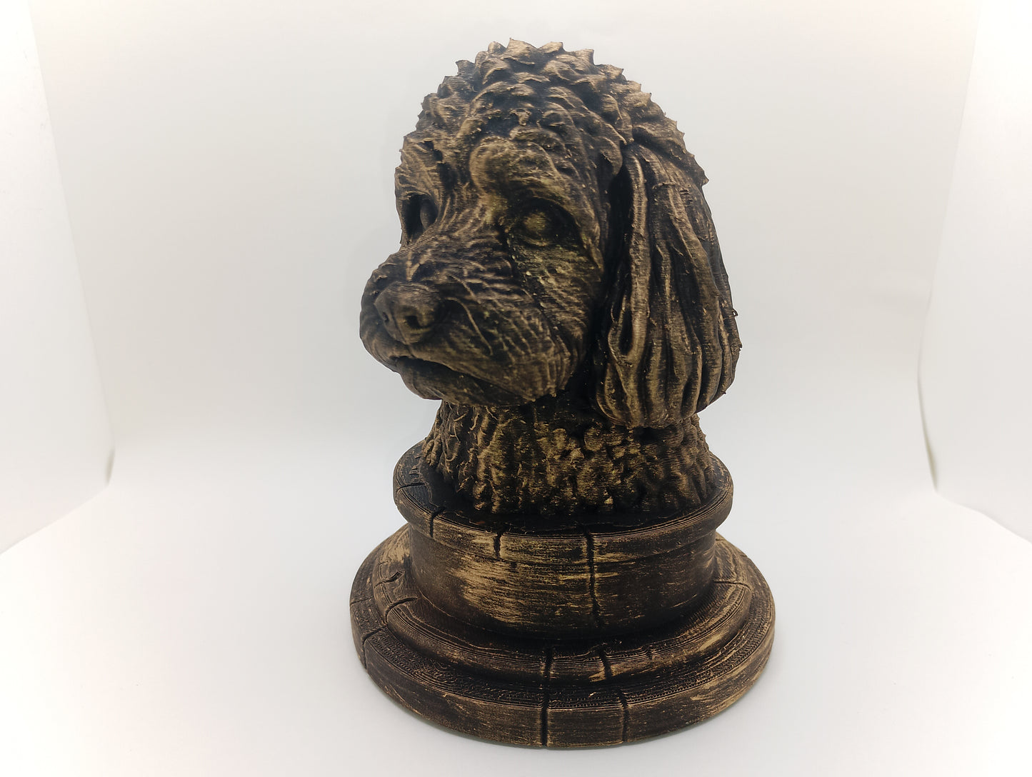 Cavapoo Bust