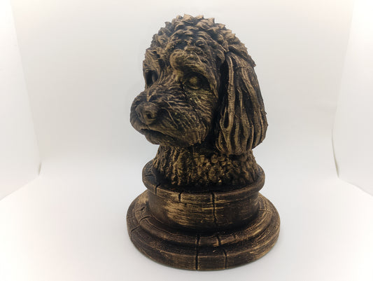 Cavapoo Bust
