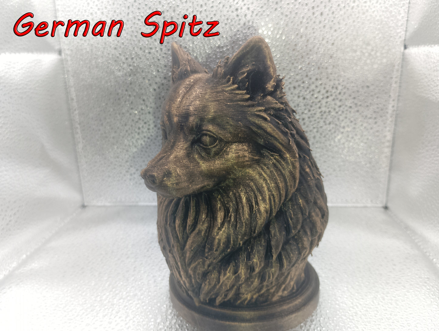 German Spitz Bust