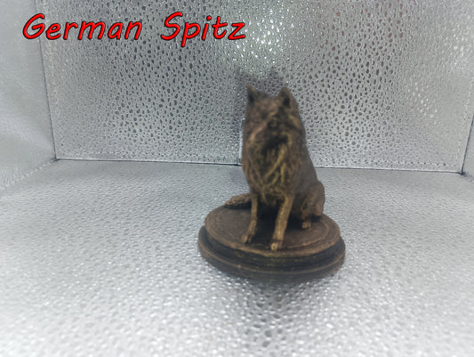 German Spitz Dog Bust – 7cm Miniature Statue