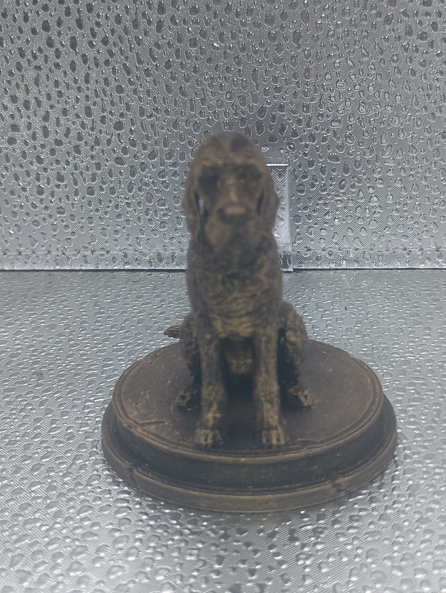 Italian Spinone Dog Bust – 7cm Miniature Statue