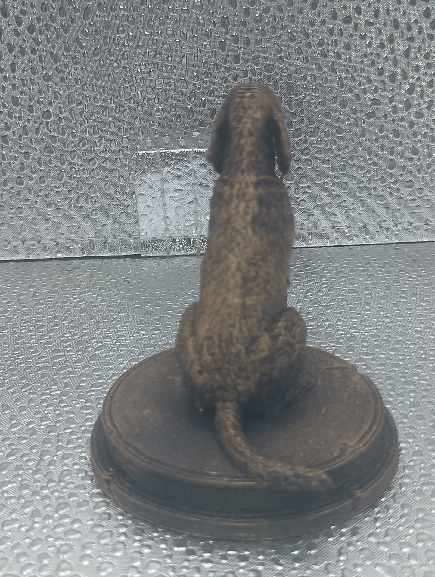 Italian Spinone Dog Bust – 7cm Miniature Statue