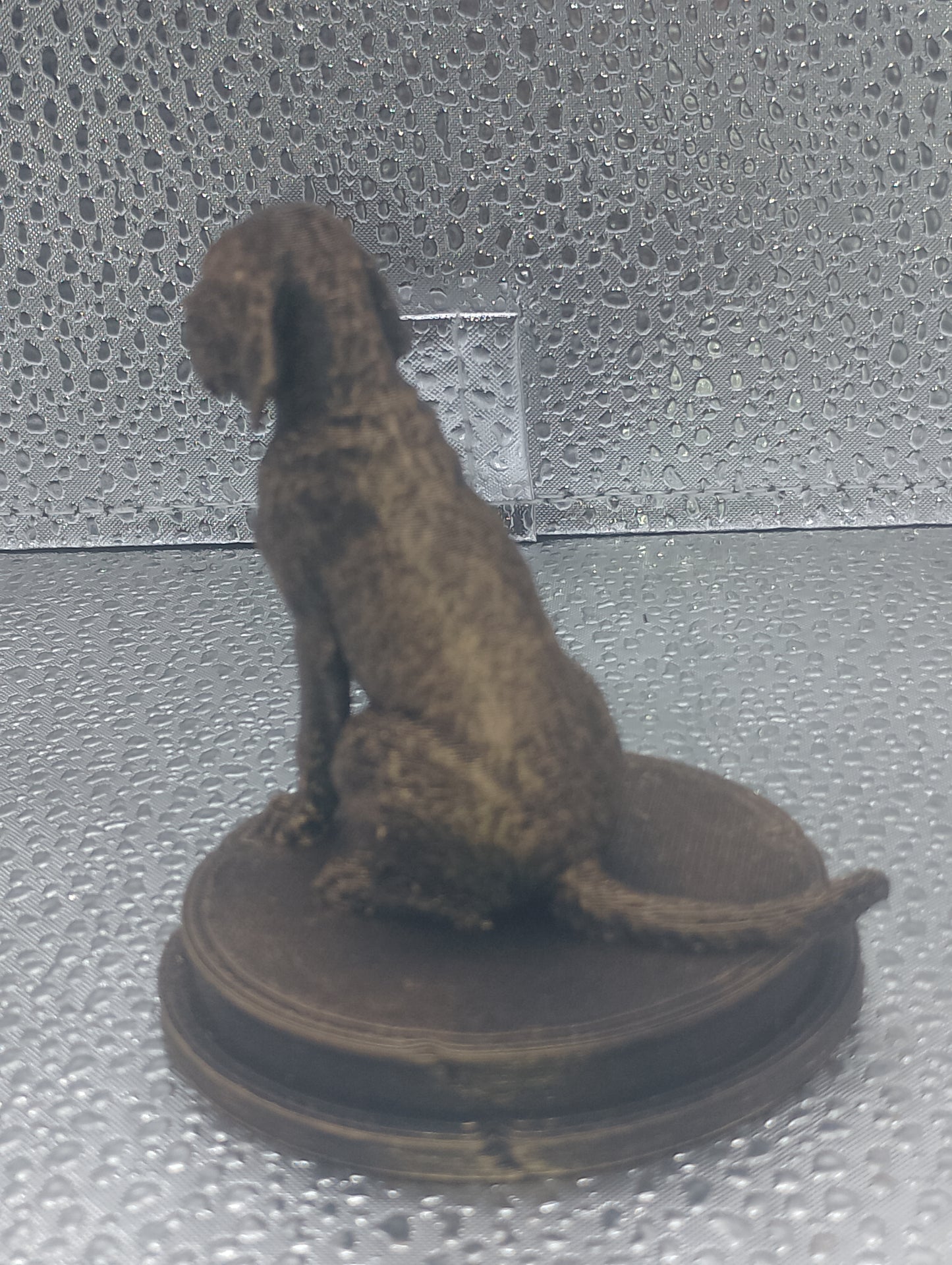 Italian Spinone Dog Bust – 7cm Miniature Statue
