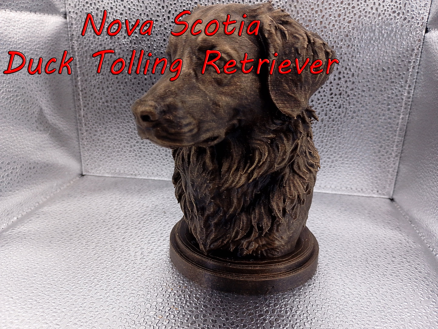 Nova Scotia Duck Tolling Retriever Bust