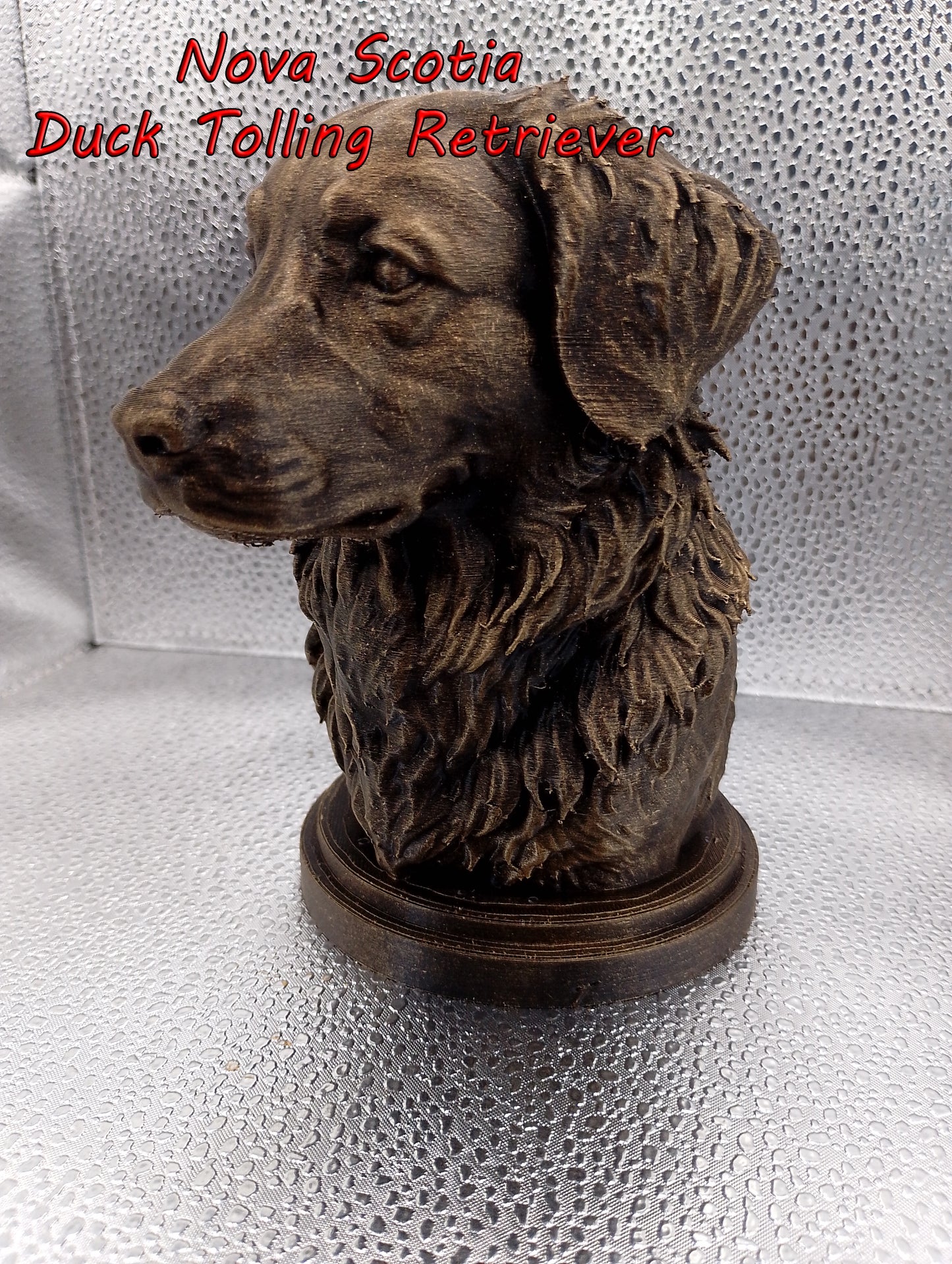 Nova Scotia Duck Tolling Retriever Bust