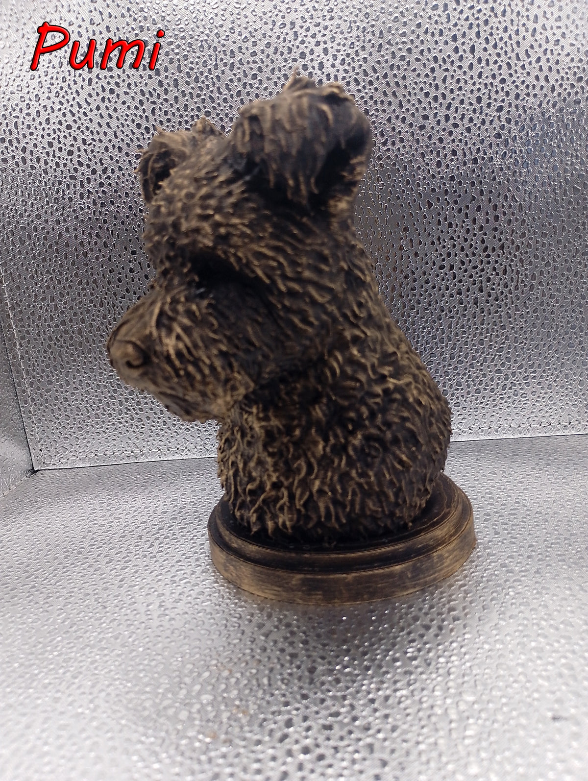 Hungarian Pumi Bust