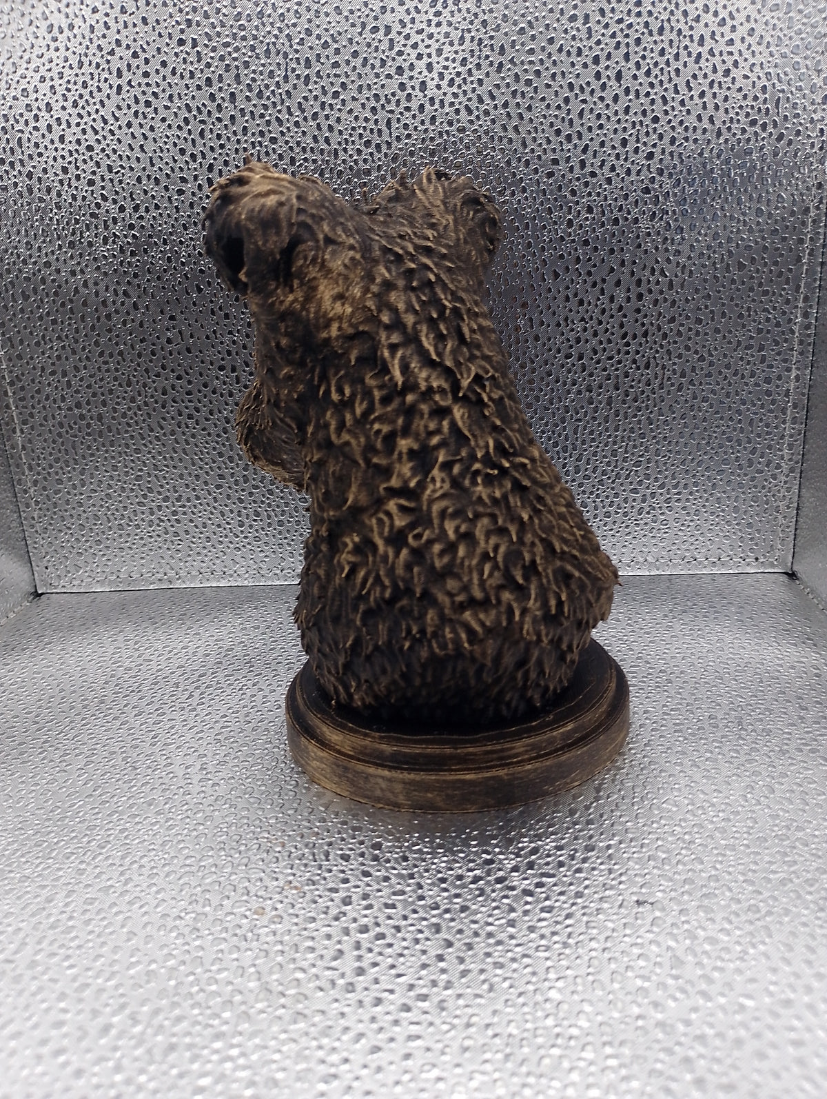 Hungarian Pumi Bust