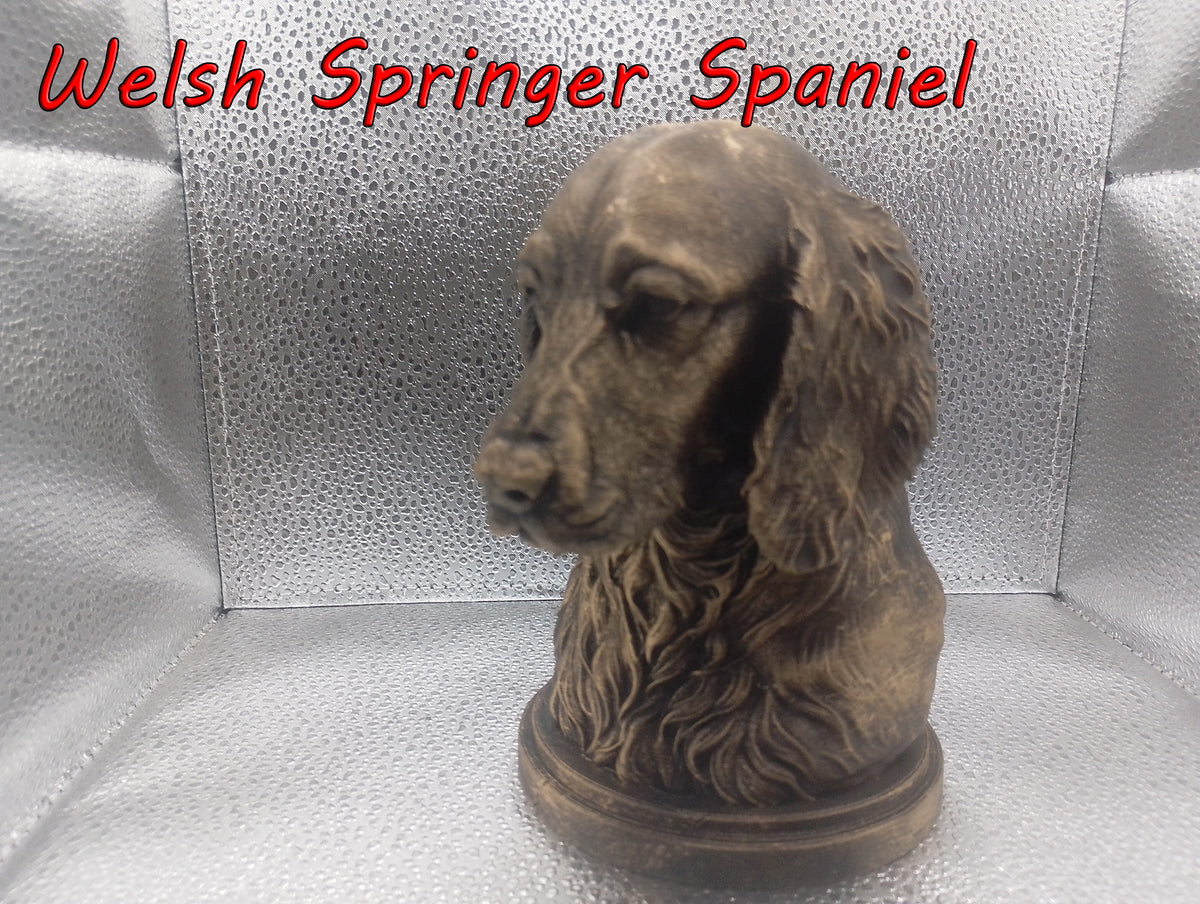 Welsh Springer Spaniel Bust