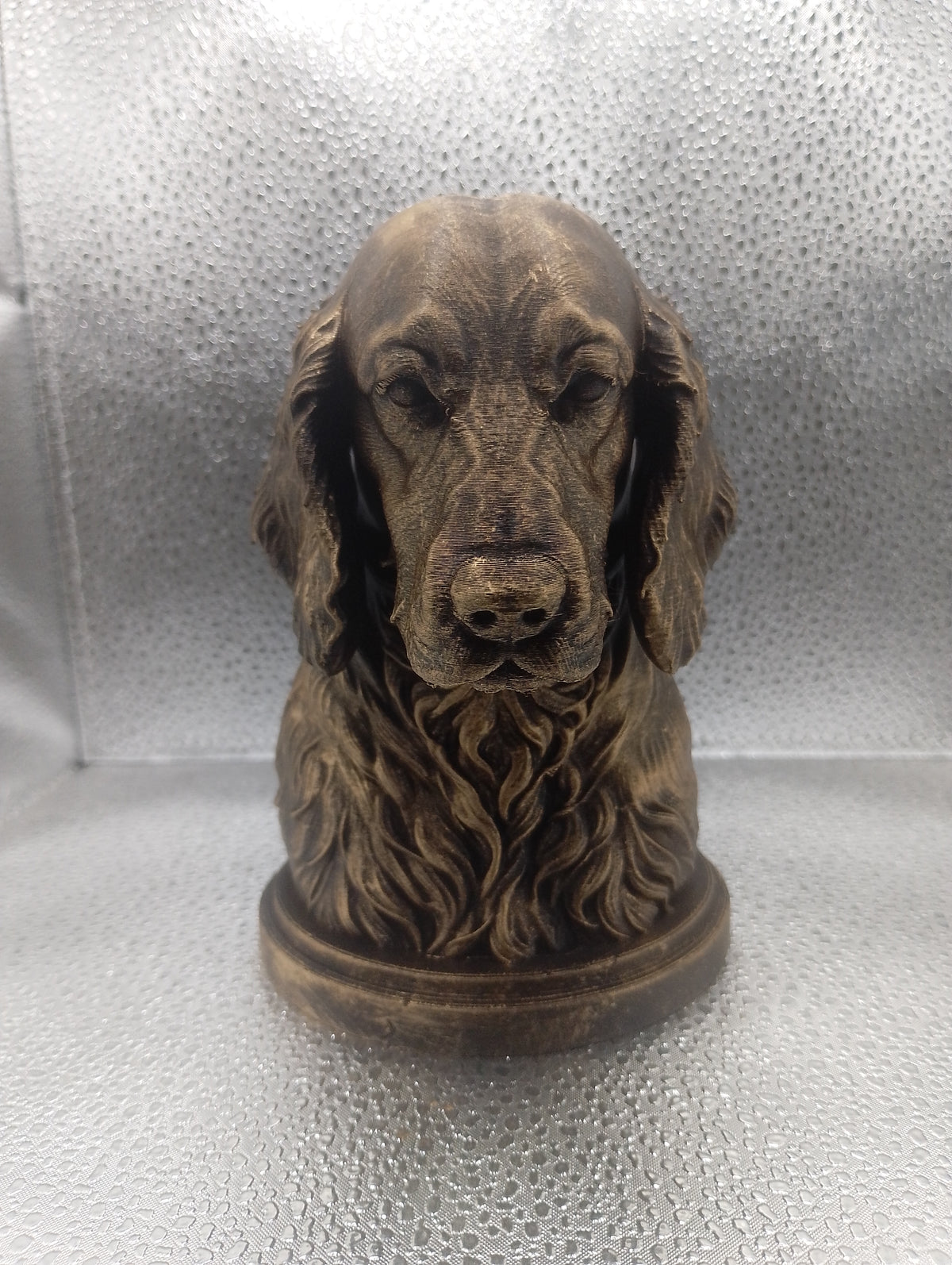 Welsh Springer Spaniel Bust