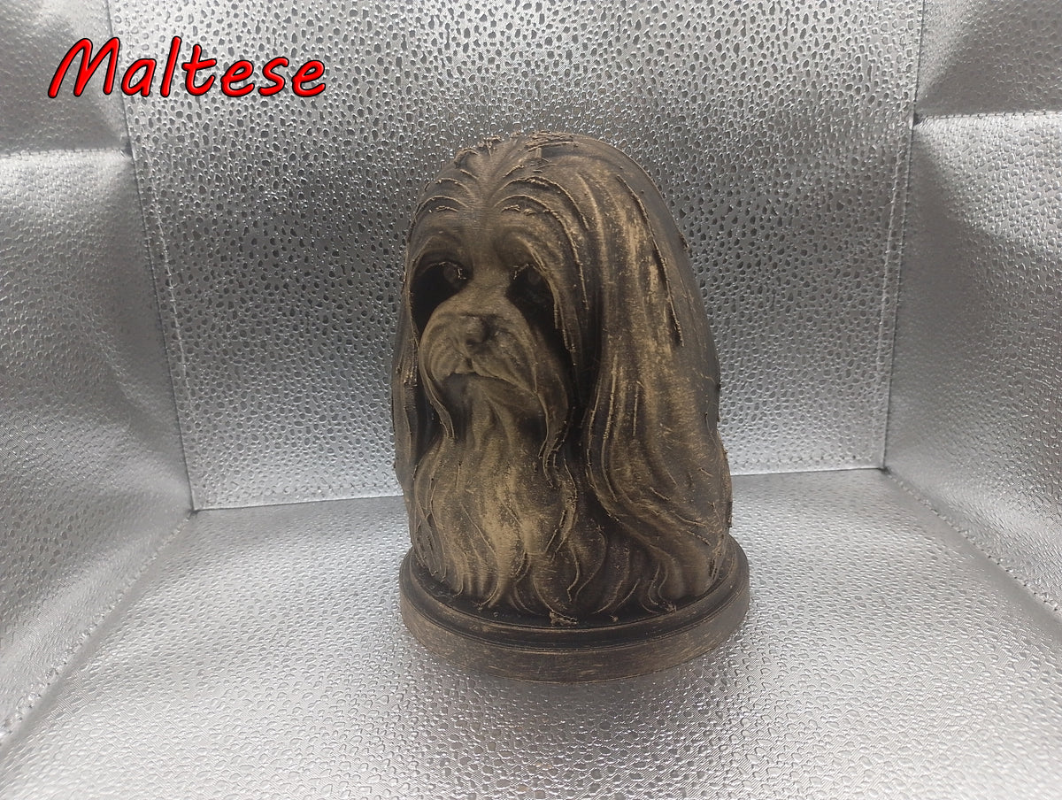 Maltese Bust
