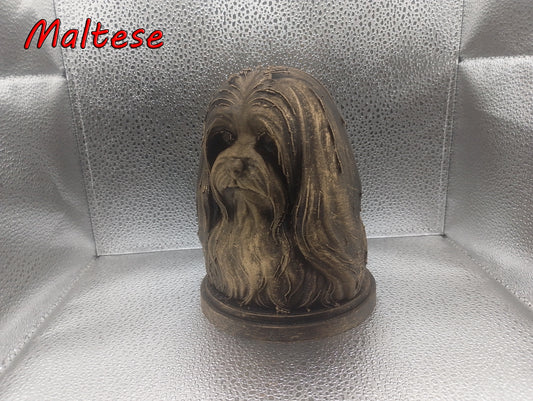 Maltese Bust