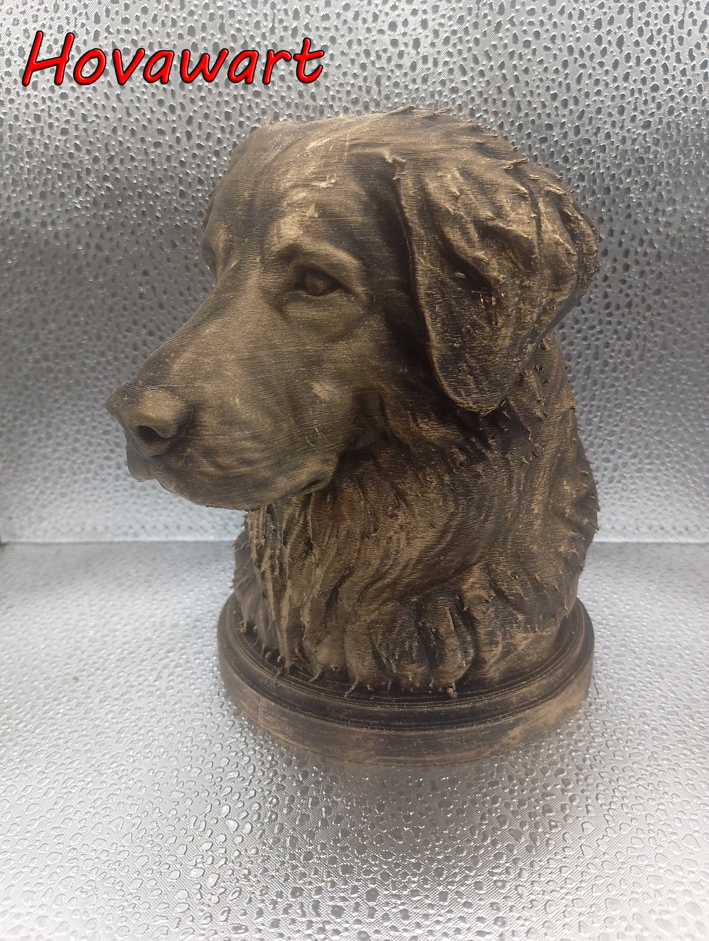 Hovawart Bust