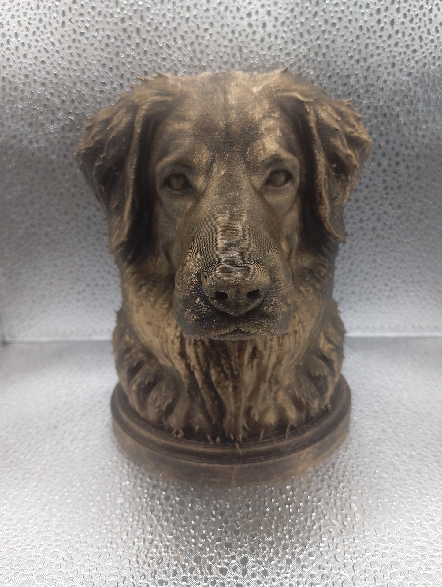 Hovawart Bust