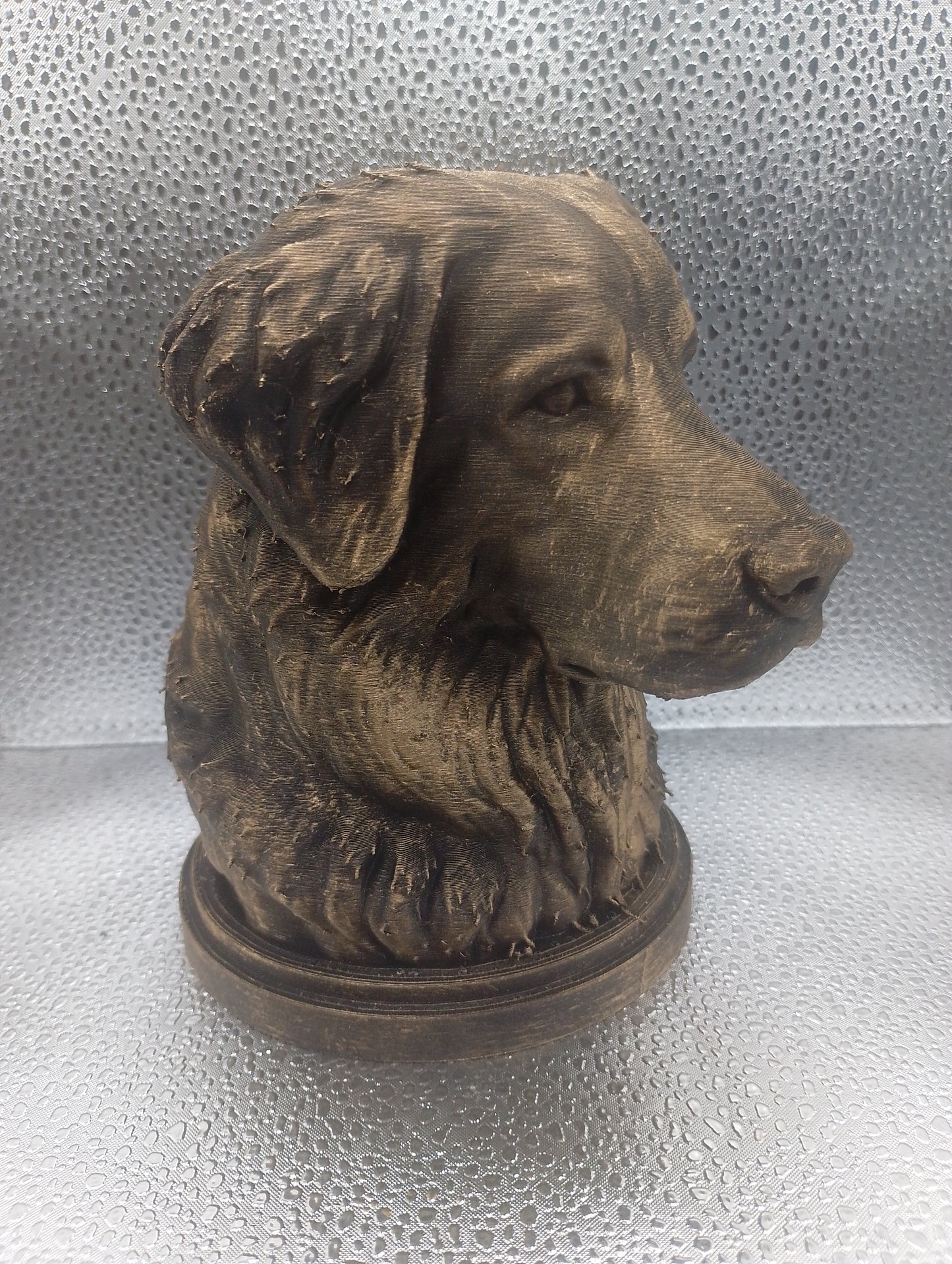 Hovawart Bust