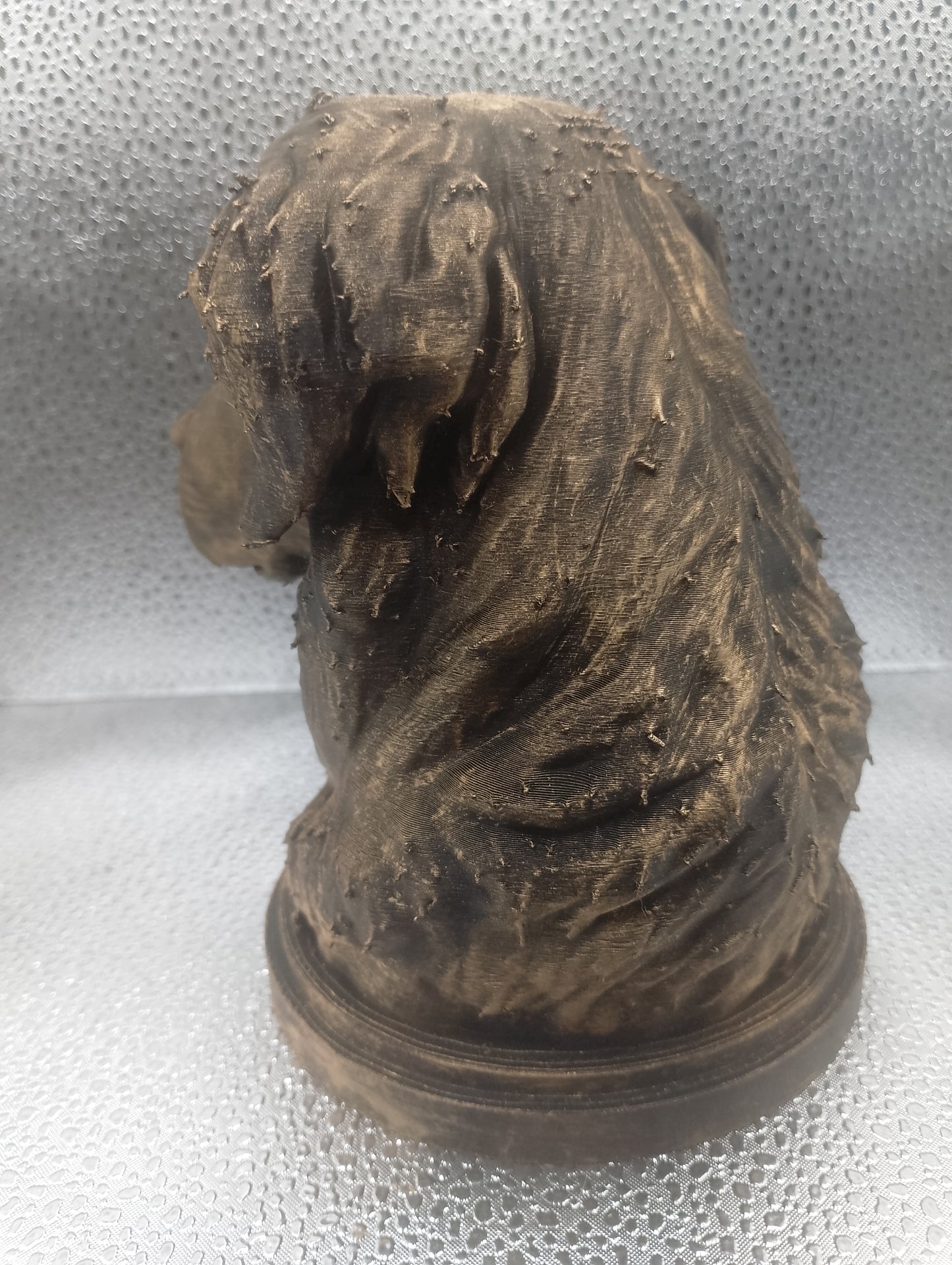 Hovawart Bust