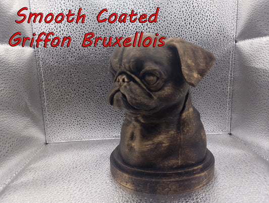 Smooth Coated Griffon Bruxellois Bust