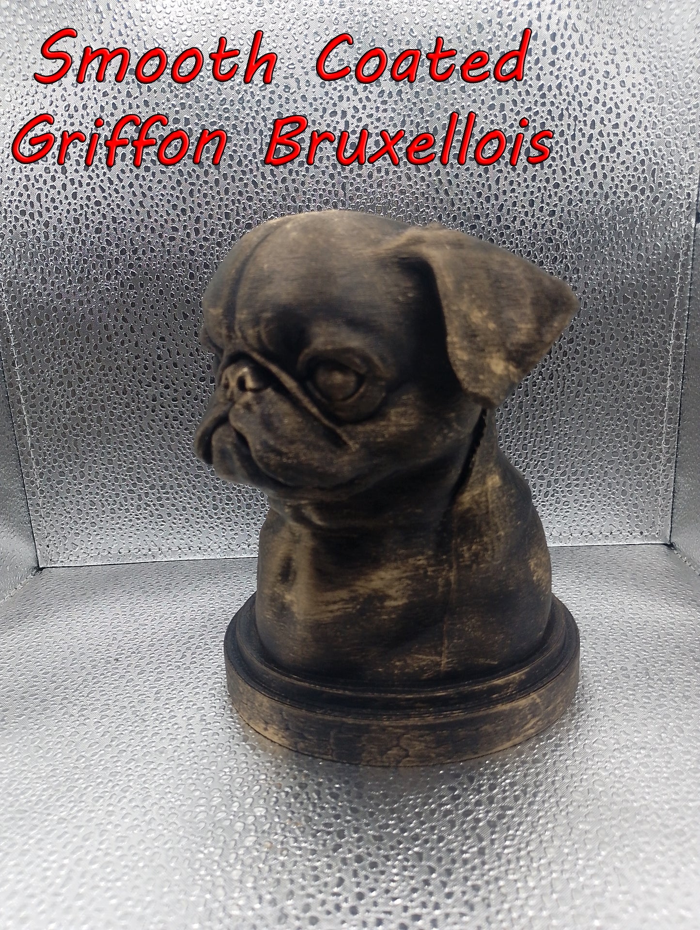 Smooth Coated Griffon Bruxellois Bust
