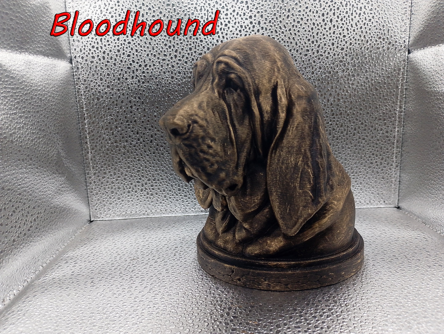 Bloodhound Bust