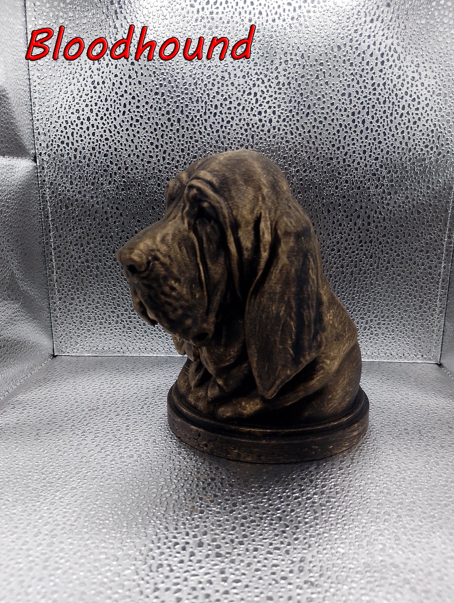 Bloodhound Bust